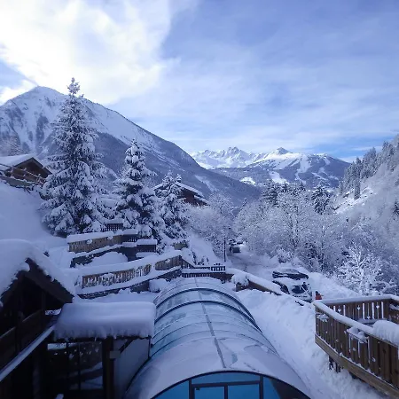 Les Edelweiss 3 Apartment *
